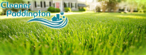 grass-cutting-services-paddington