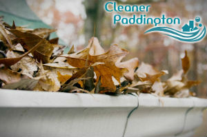 gutter-cleaners-paddington